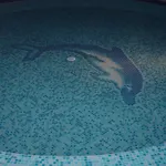 Chateau Aheloy Pomorie