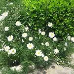 Aparthotel Chateau Aheloy