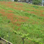 Aparthotel Chateau Aheloy Pomorie