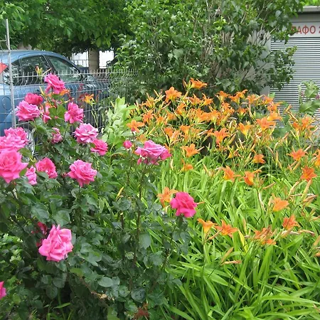 Chateau Aheloy Aparthotel 3*