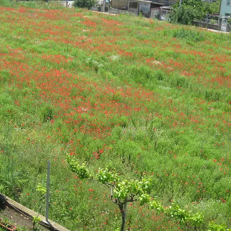 Aparthotel Chateau Aheloy Pomorie