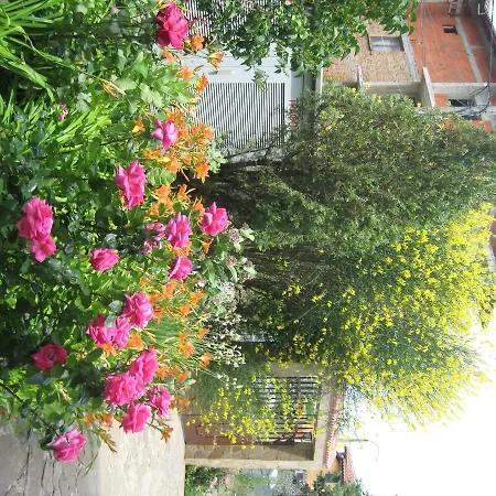 Chateau Aheloy 3* Pomorie